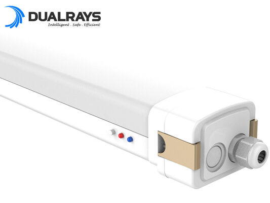DUALRAYS اروپا، ارسال مستقیم چراغ‌های LED Highbay از هلند در عرض 3 روز کاری با خدمات پس از فروش محلی