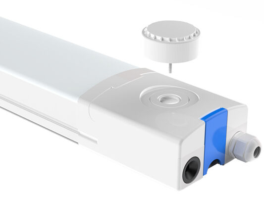 D4 لامپ ضد رطوبت LED تا 160 LPW با آماده 4 SDCM اضطراری <3 220 ~ 240VAC / 50/60Hz، ولتاژ ورودی 180-264VDC