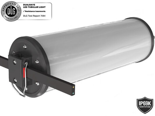 بسته بندی زیرزمینی اضطراری LED چراغ سه اثبات کامل PC Housing IP65 IK08