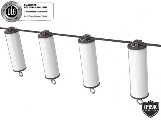 بسته بندی زیرزمینی اضطراری LED چراغ سه اثبات کامل PC Housing IP65 IK08