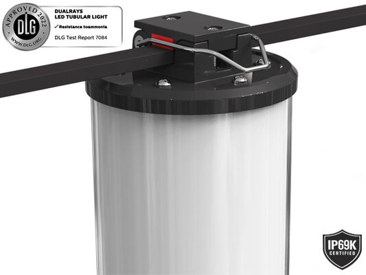 بسته بندی زیرزمینی اضطراری LED چراغ سه اثبات کامل PC Housing IP65 IK08