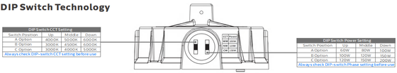 نورافکن ماژول LED مدولار در فضای باز DUALRAYS 50W 100W 150W 200W 300W