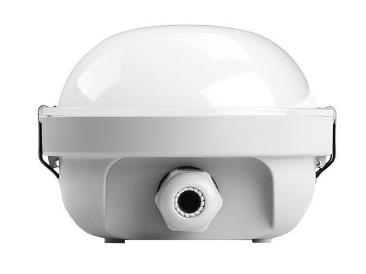 Dualrays D2.5 160LmW 30W 5ft LED ضد بخار نور نصب شده روی سطح